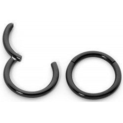 365 Sleepers 1 Pair 316L Surgical Steel 16G Opal Hinged Segment Ring Body Piercing Sleeper Earrings