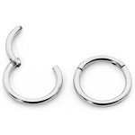 365 Sleepers 1 Pair Stainless Steel 1/4" (6mm) TINY 16G Hinged Segment Ring Silver Black Rose Yellow Rainbow Blue Hoop Sleeper Earrings Body Piercing