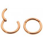 365 Sleepers 1 Pair Stainless Steel 5/16" (8mm) 18G (Thin) Hinged Continuous Segment Ring Hoop Sleeper Earrings Body Piercing