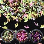 6 Boxes Chameleon AB Color Nail Sequins Set Triangle Rhombus Colorful Flakes Glitter Paillette Manicure Nail Art Decorations