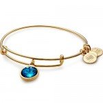 Alex and Ani Bangle Bar Imitation Birthstone Bangle Bracelet, 2.75"
