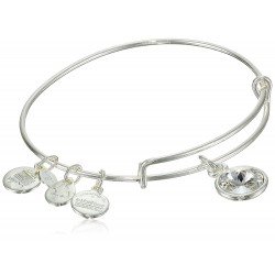 Alex and Ani Bangle Bar Imitation Birthstone Bangle Bracelet, 2.75"