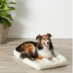 Basics Padded Pet Bolster Bed