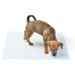 Basics Pet Training and Puppy Pads