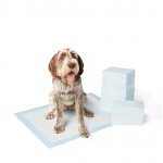 Basics Pet Training and Puppy Pads