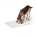 Basics Pet Training and Puppy Pads