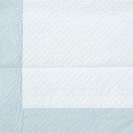 Basics Pet Training and Puppy Pads