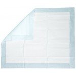 Basics Pet Training and Puppy Pads
