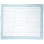 Basics Pet Training and Puppy Pads