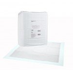 Basics Pet Training and Puppy Pads