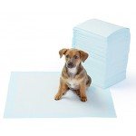 Basics Pet Training and Puppy Pads