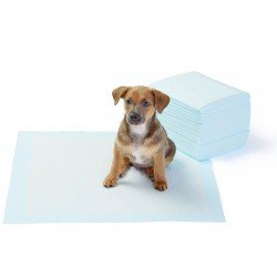 Basics Pet Training and Puppy Pads