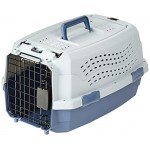 Basics Two-Door Top-Load Pet Kennel