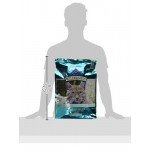 BLUE Wilderness High Protein Grain Free Adult Dry Cat Food BLUE Wilderness High Protein Grain Free Adult Dry Cat Food