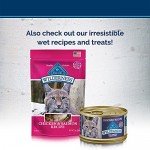 BLUE Wilderness High Protein Grain Free Adult Dry Cat Food BLUE Wilderness High Protein Grain Free Adult Dry Cat Food