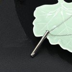 Bestgrass Ashes Necklace for Ashes, Urn Necklace for Ashes, Ashes for Mom Dad and Pet