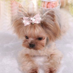 Bling Rhinestone Luxury Pet Puppy dog cat Hairpin hair bows tie dog lace Hair Clips Pet Dog Grooming Pet hair accessories Pack Of 2