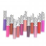 Brand New Matte Lipstick Beauty Batom Long Lasting Labiales Rouge Matte Liquid Moisturizer Makeup 12 Colors Lip Gloss Cosmetics