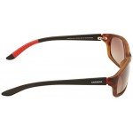 Carrera Men's CA8016S Polarized Rectangular Sunglasses