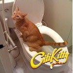 CitiKitty "As Seen on Shark Tank" Cat Toilet Training Kit
