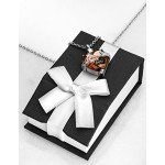 Cremation Urn Necklace for Ashes "With Beautiful Gift Box" Urn Pendant Memorial Keepsake Cremation Jewelry