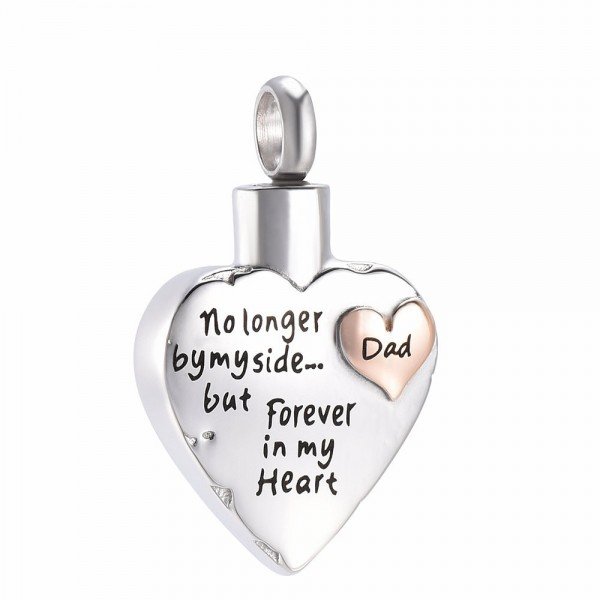 Dad Non Longer By My Side,But Forever In My Heart Memorial Jewelry Cremation Urn Necklace