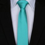 Elviros Mens Eco-friendly Fashion Solid Color Slim Tie 2.4'' (6cm)