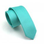 Elviros Mens Eco-friendly Fashion Solid Color Slim Tie 2.4'' (6cm)