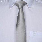 Elviros Mens Eco-friendly Fashion Solid Color Slim Tie 2.4'' (6cm)