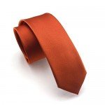 Elviros Mens Eco-friendly Fashion Solid Color Slim Tie 2.4'' (6cm)