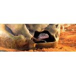 Exo Terra Gecko Cave for Reptiles