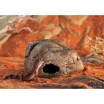 Exo Terra Gecko Cave for Reptiles