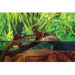 Exo Terra Jungle Vine