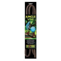 Exo Terra Jungle Vine