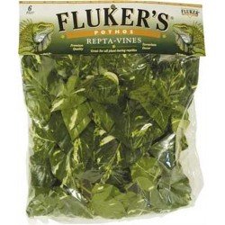 Fluker's Repta Vines-Pothos for Reptiles and Amphibians