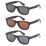 GAMMA RAY CHEATERS Best Value Polarized UV400 Classic Style Sunglasses with Mirror Lens and Multi Pack Options