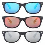 GAMMA RAY CHEATERS Best Value Polarized UV400 Classic Style Sunglasses with Mirror Lens and Multi Pack Options