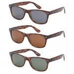 GAMMA RAY CHEATERS Best Value Polarized UV400 Classic Style Sunglasses with Mirror Lens and Multi Pack Options