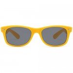 GAMMA RAY CHEATERS Best Value Polarized UV400 Classic Style Sunglasses with Mirror Lens and Multi Pack Options