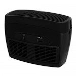 Holmes Small Room 3-Speed HEPA-Type Air Purifier with Optional Ionizer, Black