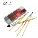 IMAGIC Halloween Face Body Paint Oil Painting Art Make Up Set Tools Party Fancy Dress 12 Flash Tattoo Color+6pcs Paint Brush
