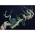 Jungle Vines Flexible Pet Habitat Decor for Lizards, Frogs, Snakes and Other Reptiles