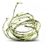 Jungle Vines Flexible Pet Habitat Decor for Lizards, Frogs, Snakes and Other Reptiles
