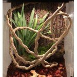 Jungle Vines Flexible Pet Habitat Decor for Lizards, Frogs, Snakes and Other Reptiles