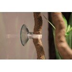 Jungle Vines Flexible Pet Habitat Decor for Lizards, Frogs, Snakes and Other Reptiles