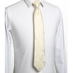 KissTies Mens Necktie Paisley Tie + Gift Box