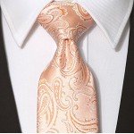 KissTies Mens Necktie Paisley Tie + Gift Box