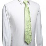 KissTies Mens Necktie Paisley Tie + Gift Box