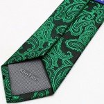 KissTies Mens Necktie Paisley Tie + Gift Box