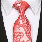 KissTies Mens Necktie Paisley Tie + Gift Box